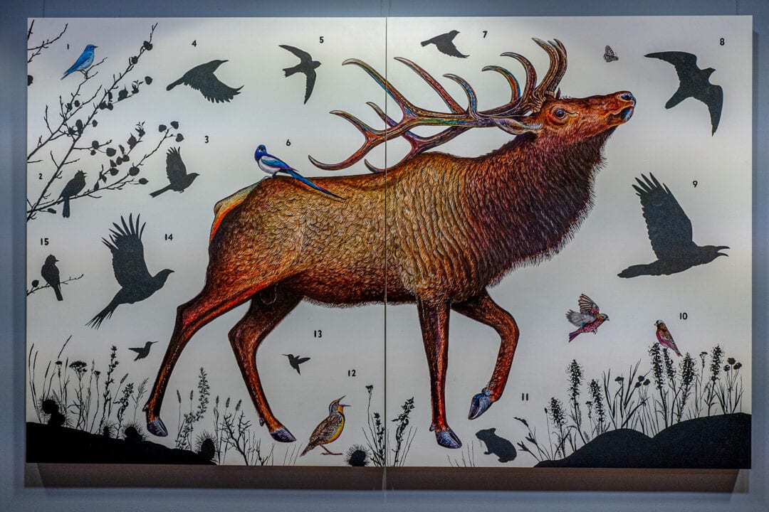 A painting hangs on a blue wall of an elk and various numbered silhouettes of animals