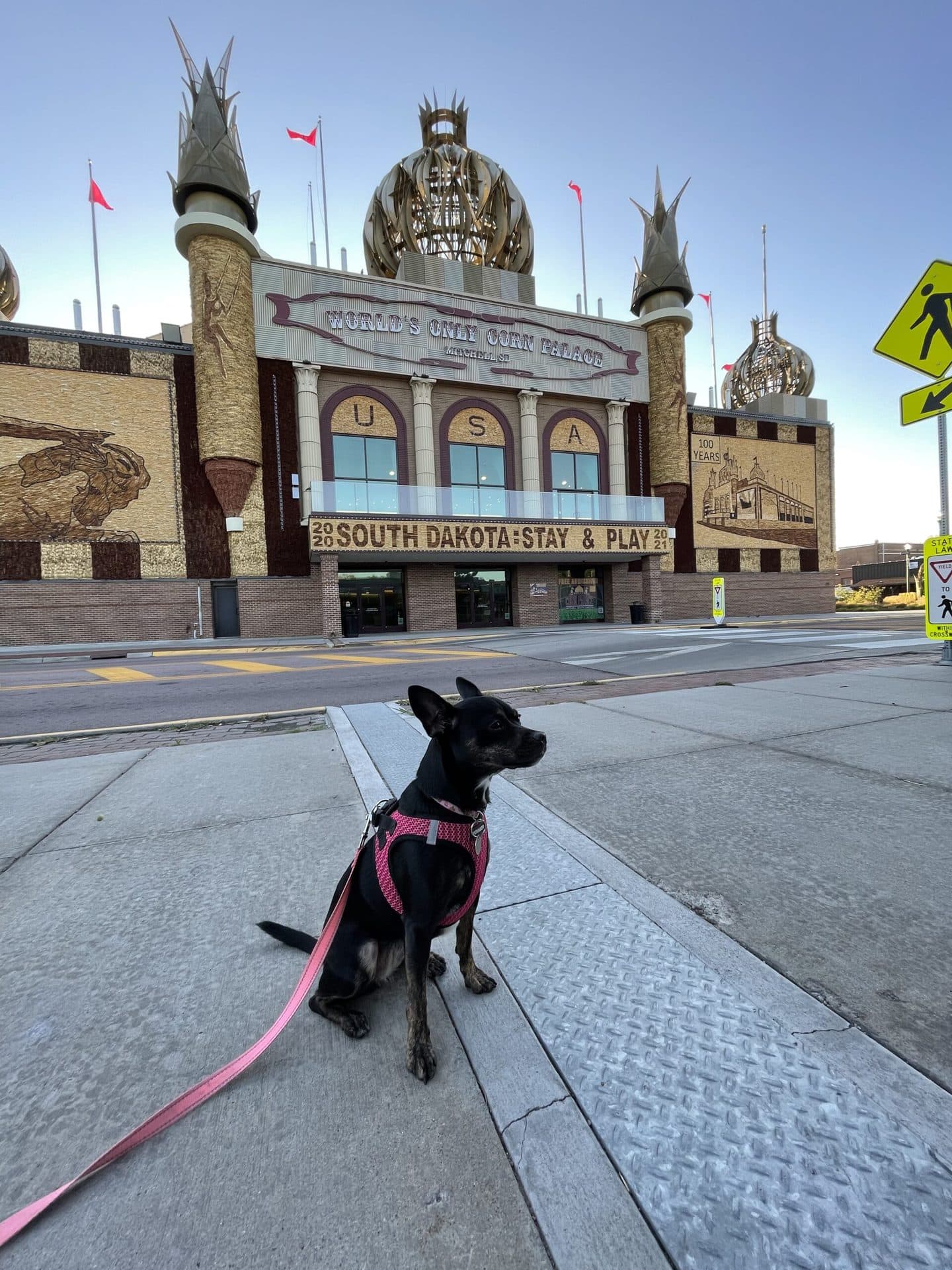 Dog sitting outside the World's Only Corn Palace