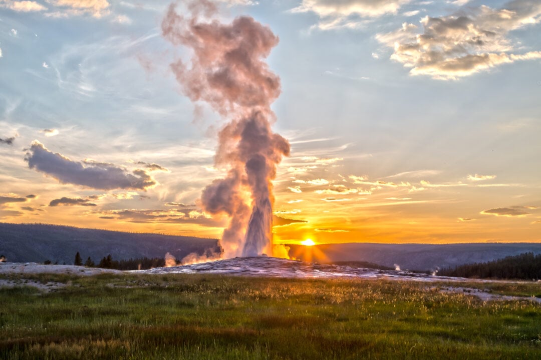 old faithful geyser erupts at sunrise 
