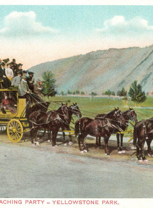 Celebrate 150 years of Yellowstone National Park with a historic stagecoach tour