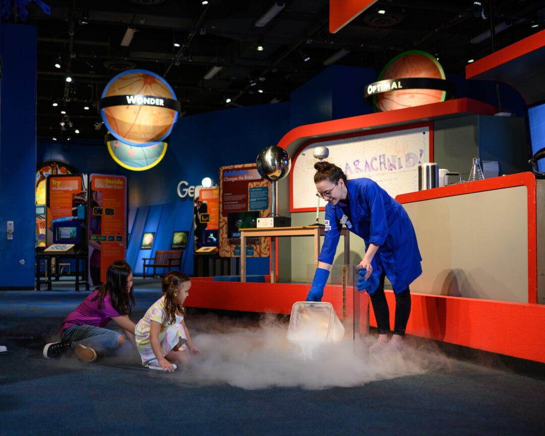A demonstration at a science museum with liquid nitrogen