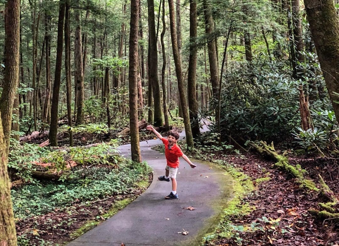 Little boy on a path walking in the Smoky Mountains