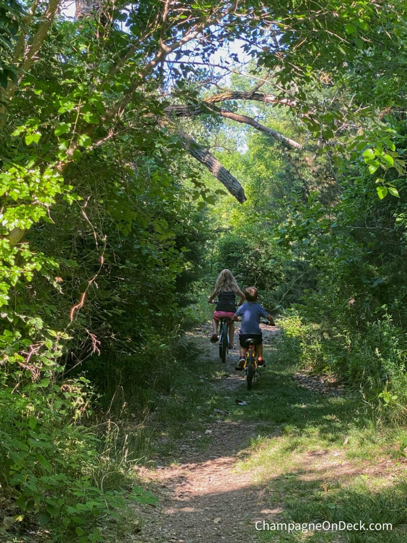 two kids ride bikes on a wooded path though greenery