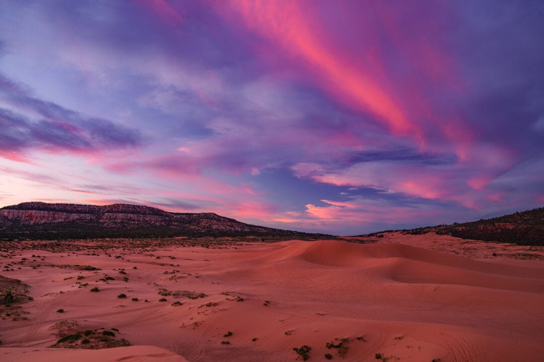 an expanse of pink sand dunes under a pink and blue sunset sky