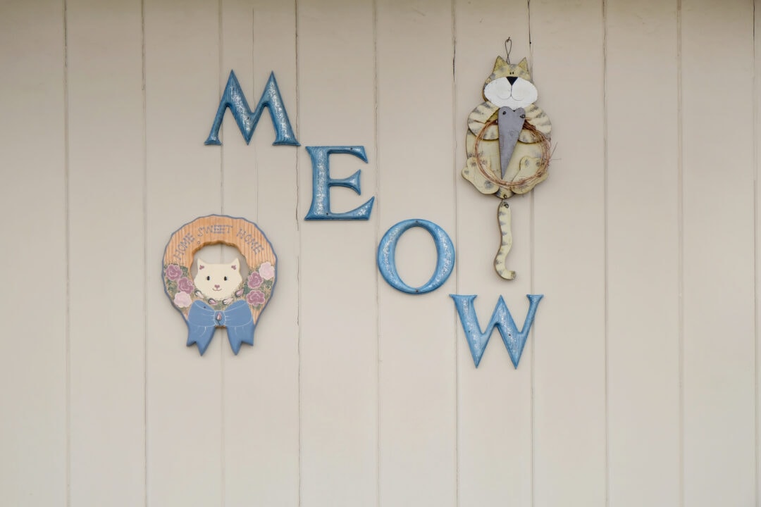 a beige wall with blue letters that spell out "meow" hung beside two pieces of cat artwork