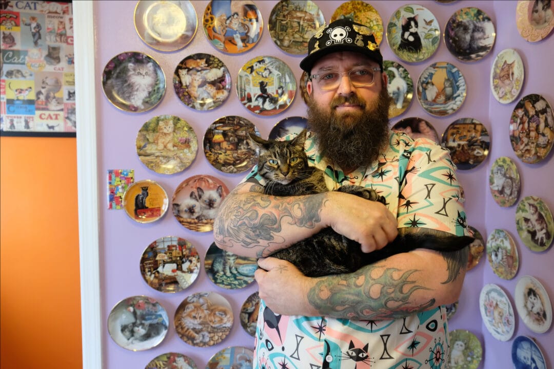 a man with a beard and glasses holds a striped tabby cat in front of a purple wall with rows of decorative cat plates