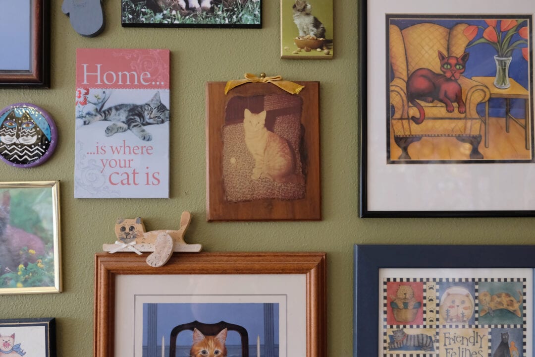a green wall filled with framed cat-themed artwork