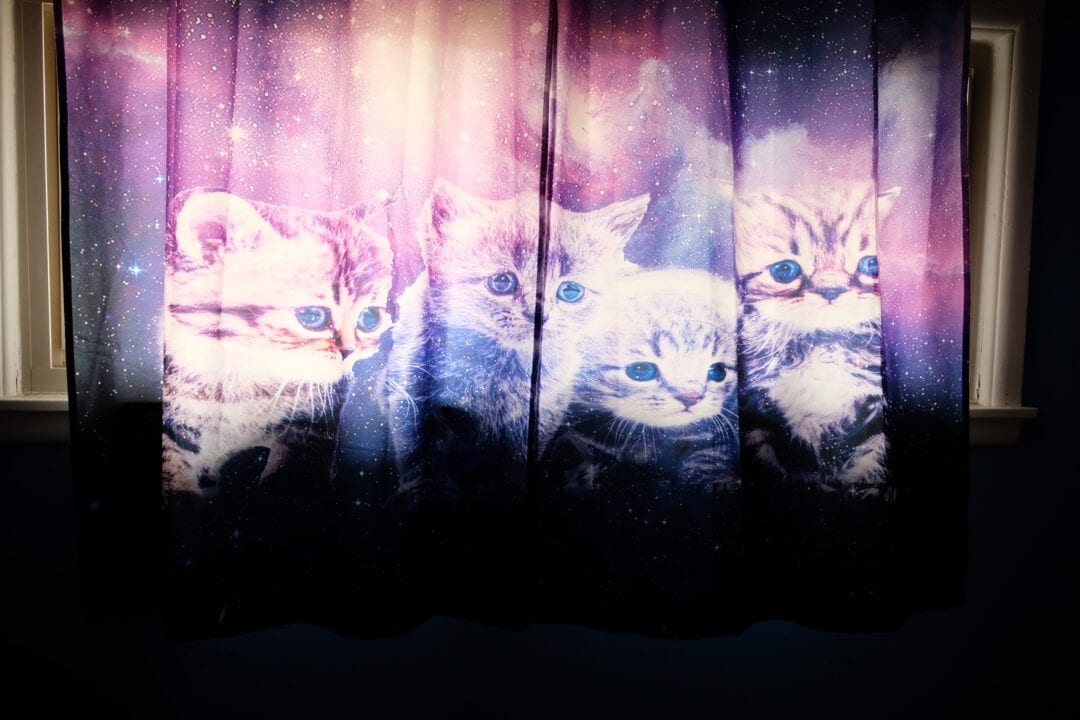 a curtain featuring four kittens in space