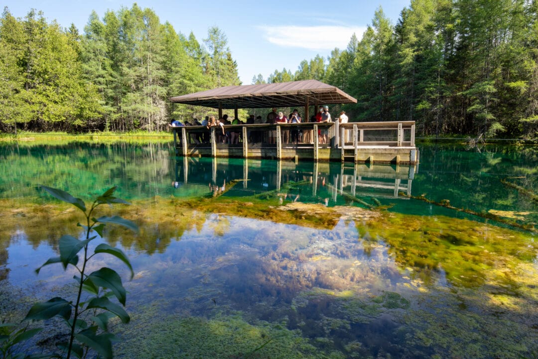 people stand on a wooden deck in the middle of a clear body of water surrounded by trees