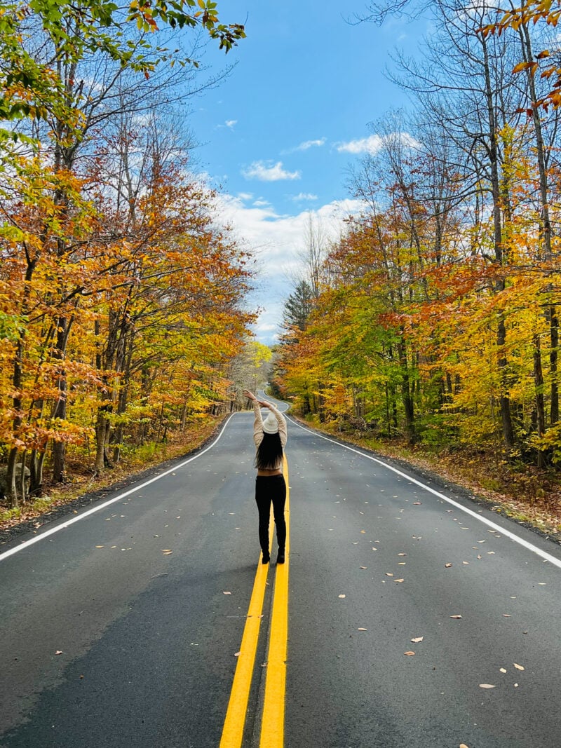 a person stands on the double yellow line on a road lined with trees in yellows and reds