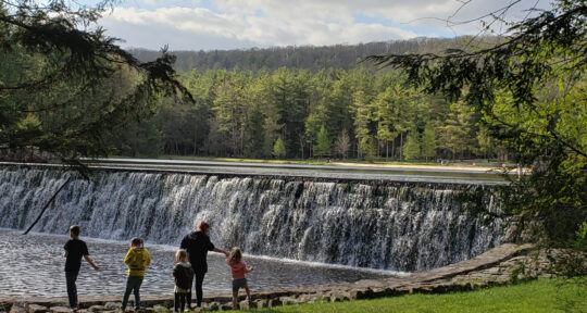 These 8 states have free entry to state parks