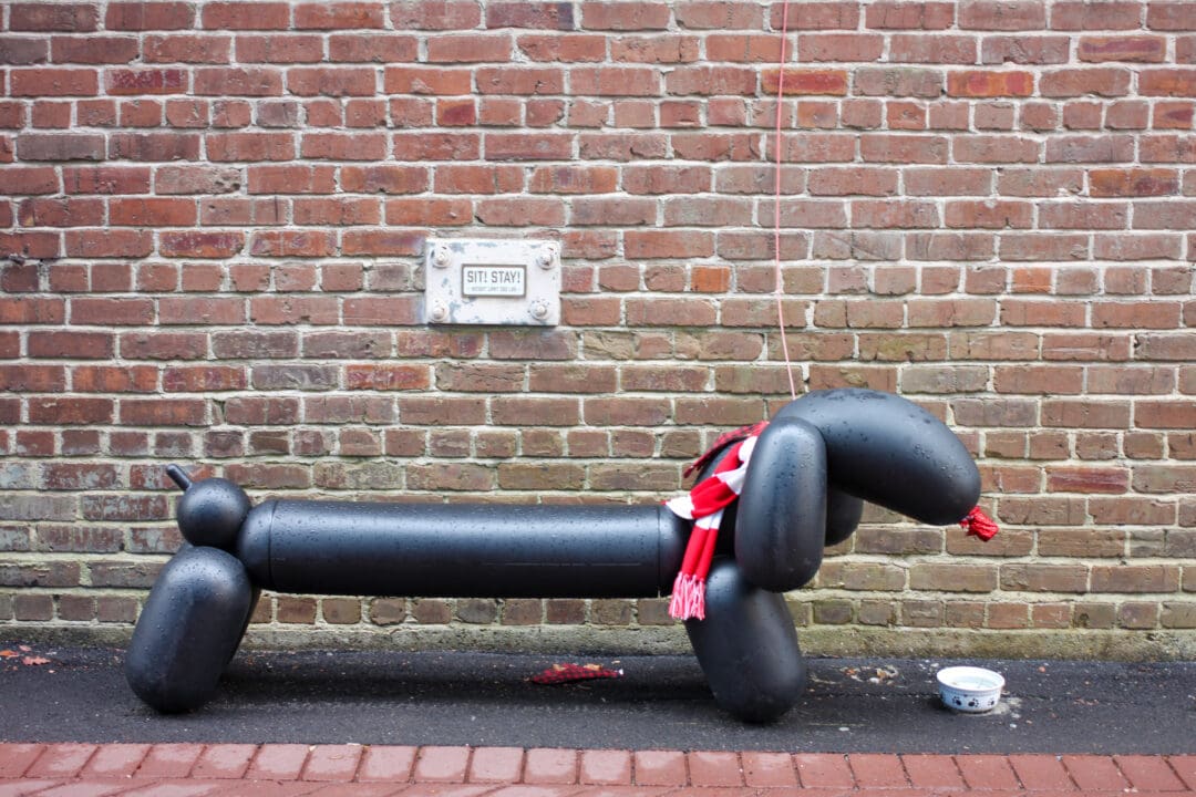 a large black balloon dog sits in front of a brick wall with a water bowl next to it