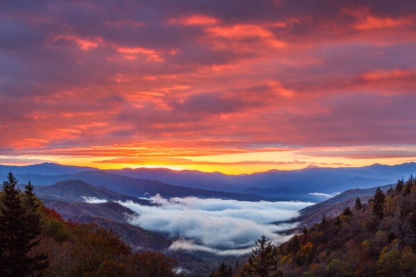 Essential stops along the bewitching Blue Ridge Parkway - Roadtrippers