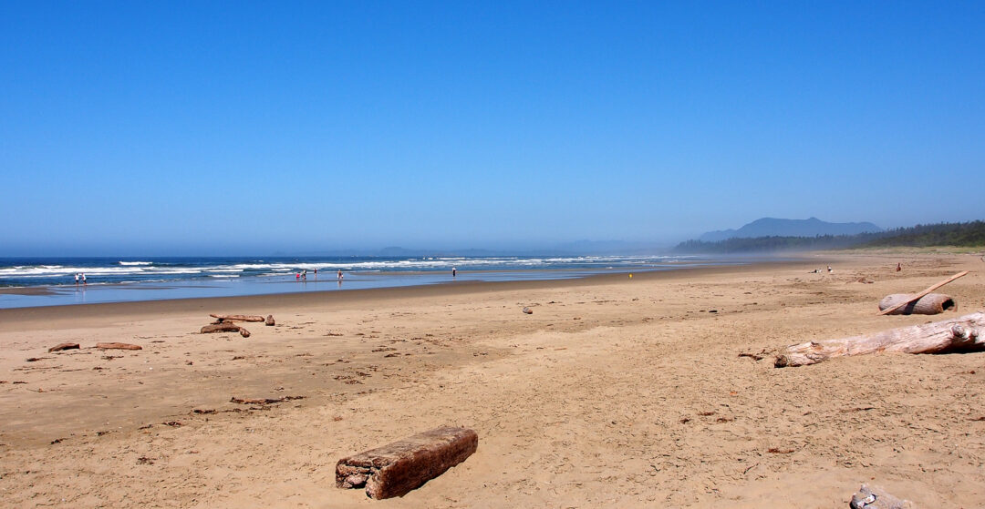 A wide expanse of sandy beach with a blue sky and ocean in the background