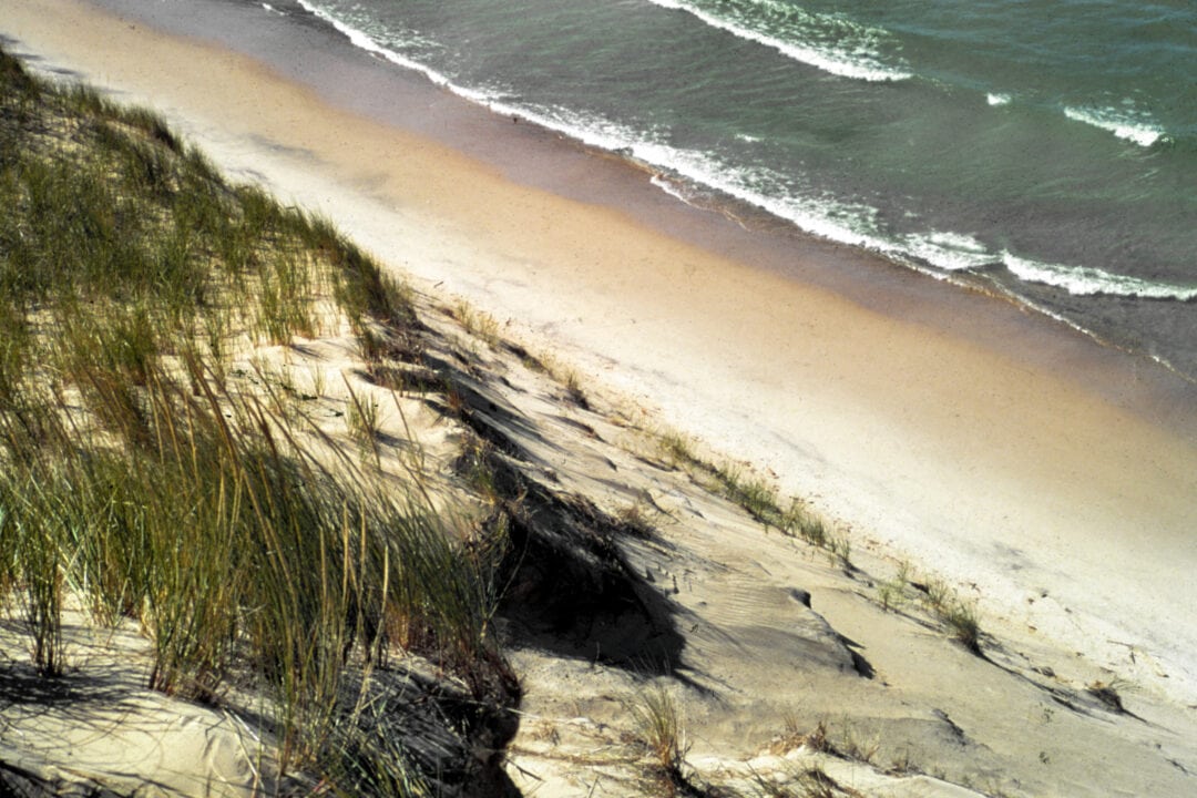 waves crash on a sandy beach with grassy dunes