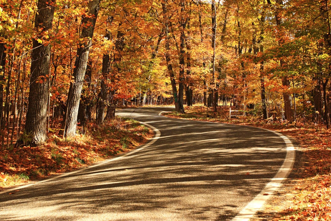 a road curves through trees in the fall