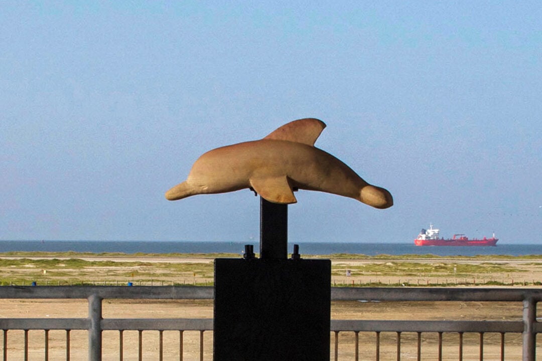 a sculpture of a dolphin is on a pedestal in front of a beach