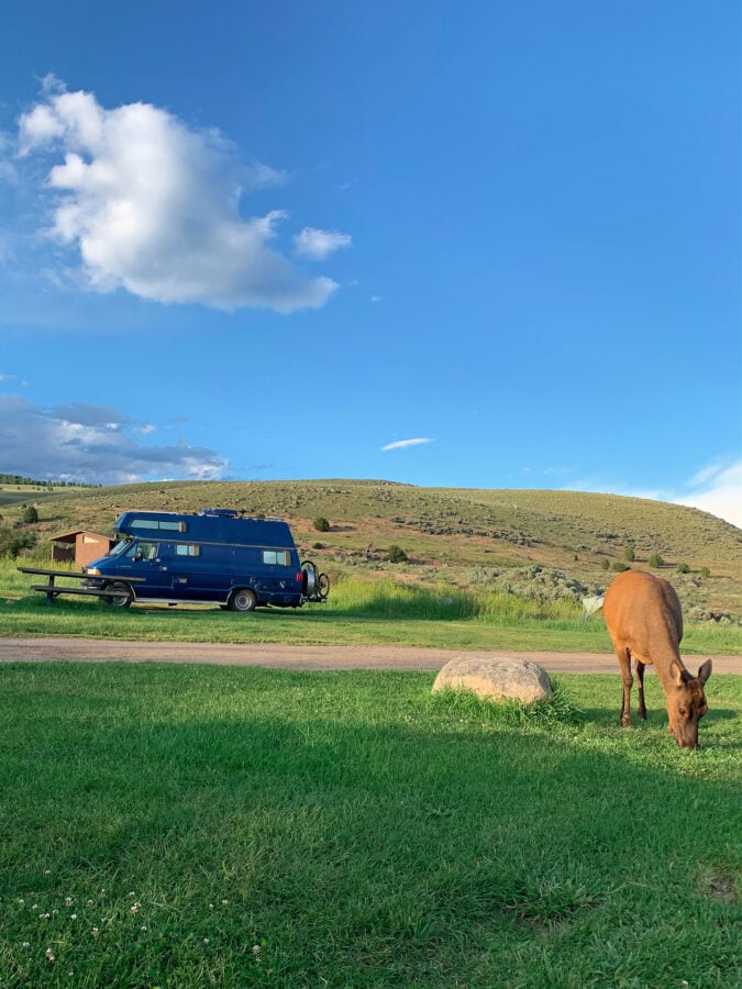 Animal grazing with RV parked at a safe distance away