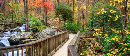 5 wheelchair-accessible hiking trails