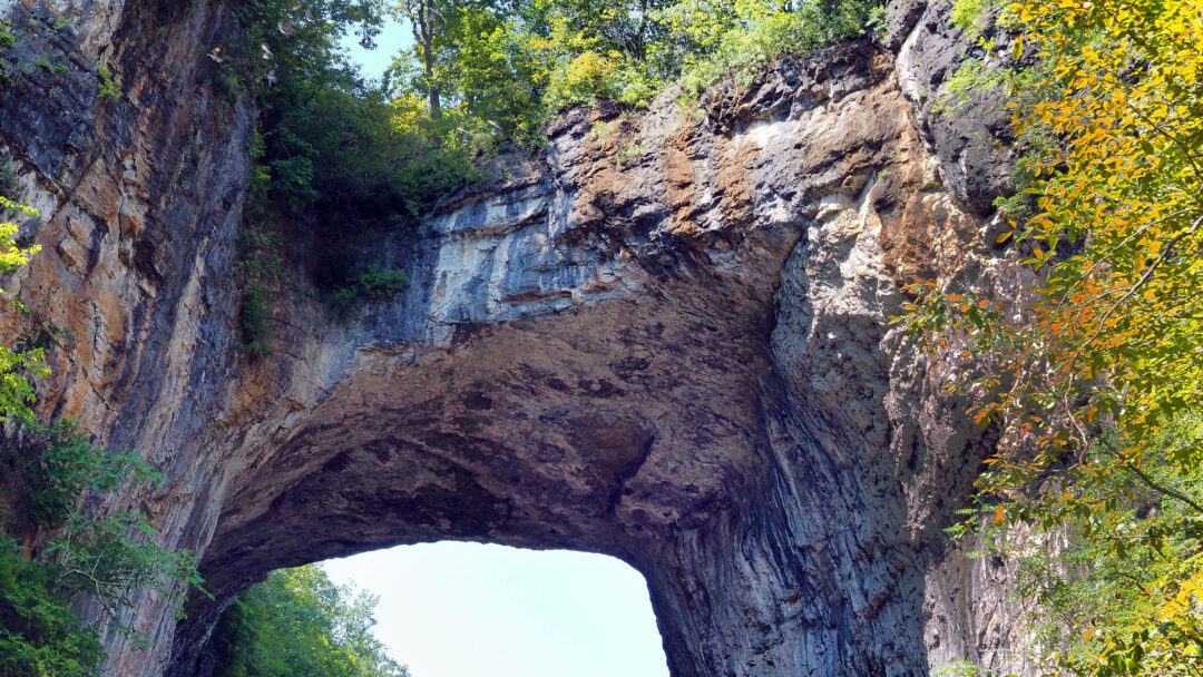Arched bridge rock formation in Natural Bridge State Park