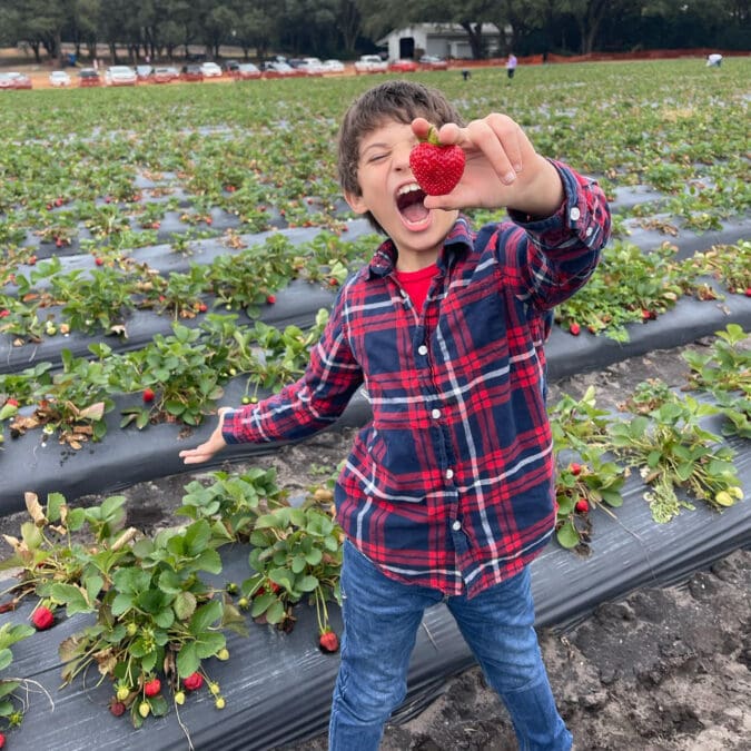 a boy holds a strawberry in front of a row of plants