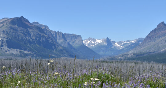 7 activities beyond the borders of Glacier National Park