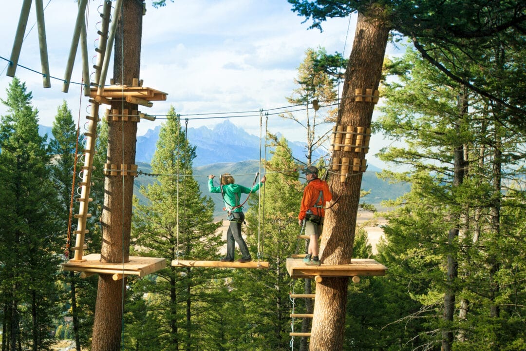 two people navigate a ropes course with wooden platforms in the treetops