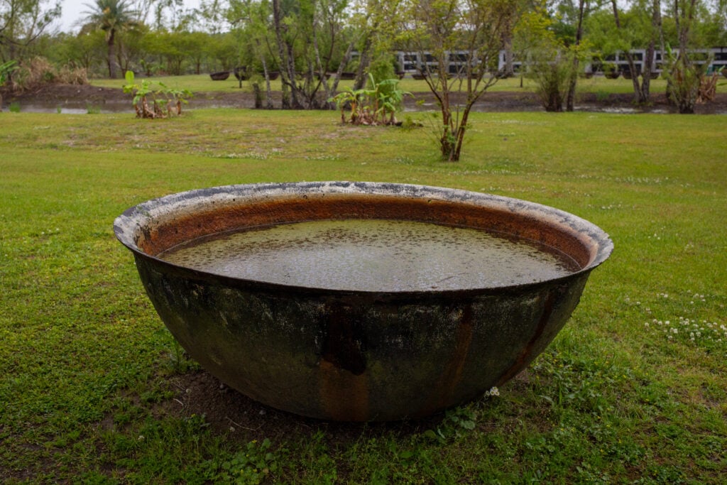 a large rusty metal bowl full of water sits on a green lawn