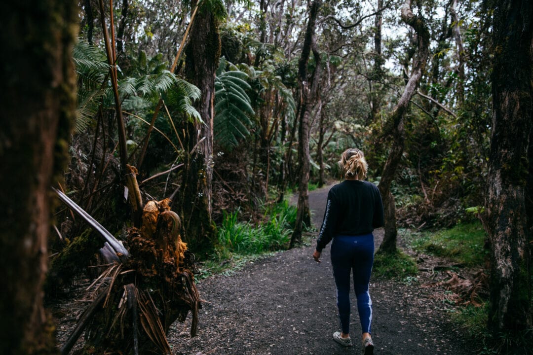 a person hikes in a forest