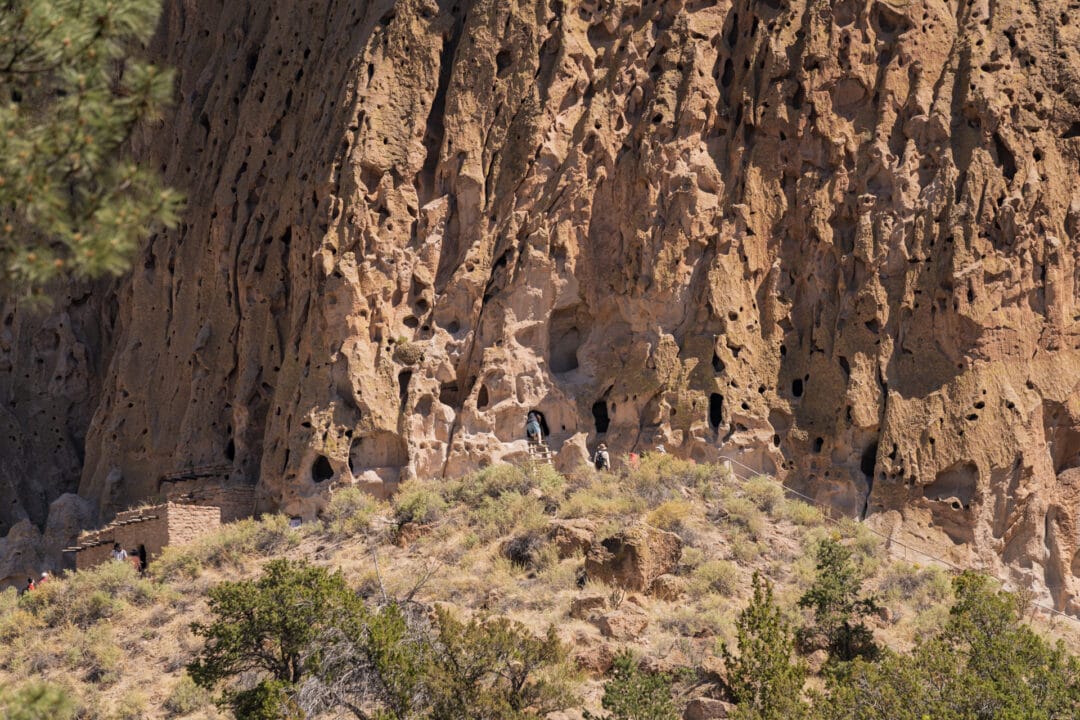 View of a tall cliff with many small openings and caves. You can barely make out a handful of people on ladders climbing into the openings.
