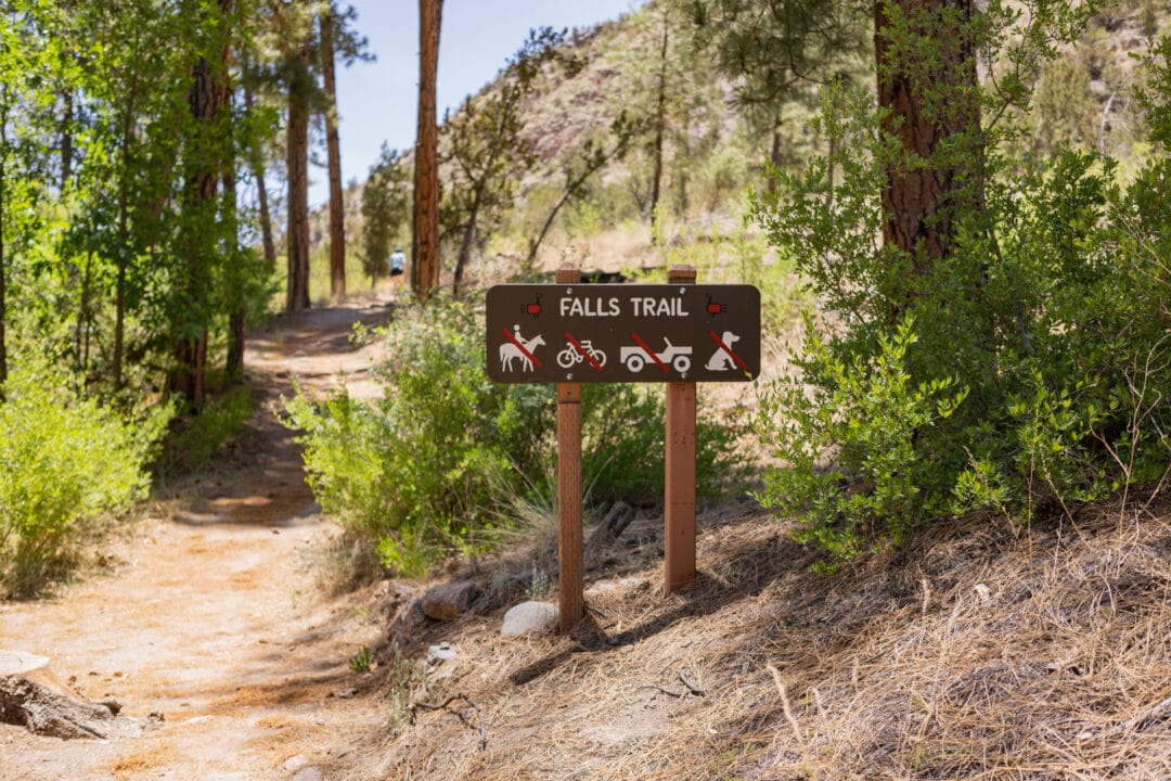 A sign that reads 'Falls trail' sits at the start of a hiking trail surrounded by trees