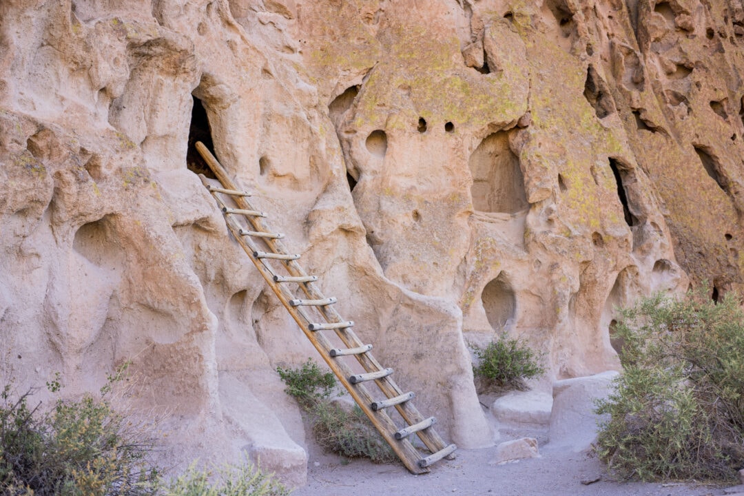A ladder is leaned up against a sandstone wall with a cave at the top