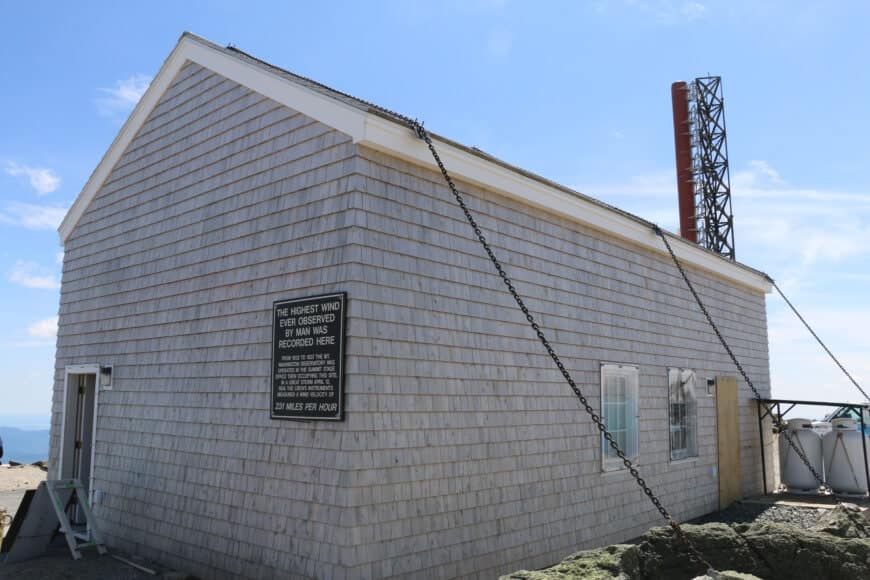 Searching for New Hampshire’s most weatherproof cat at the Mount
