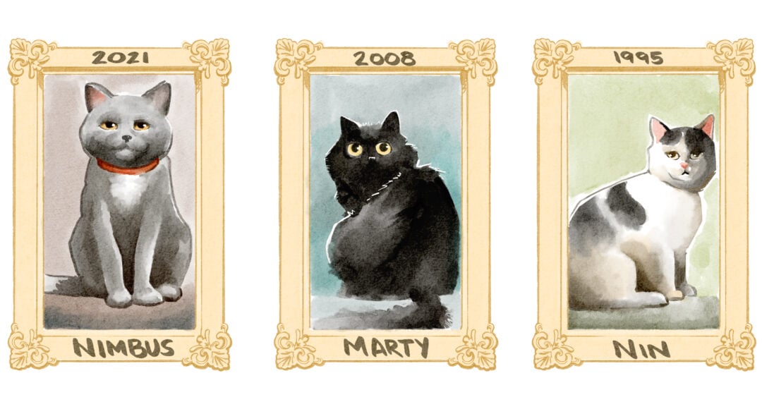 a watercolor illustration of three cats in frames with their names and dates