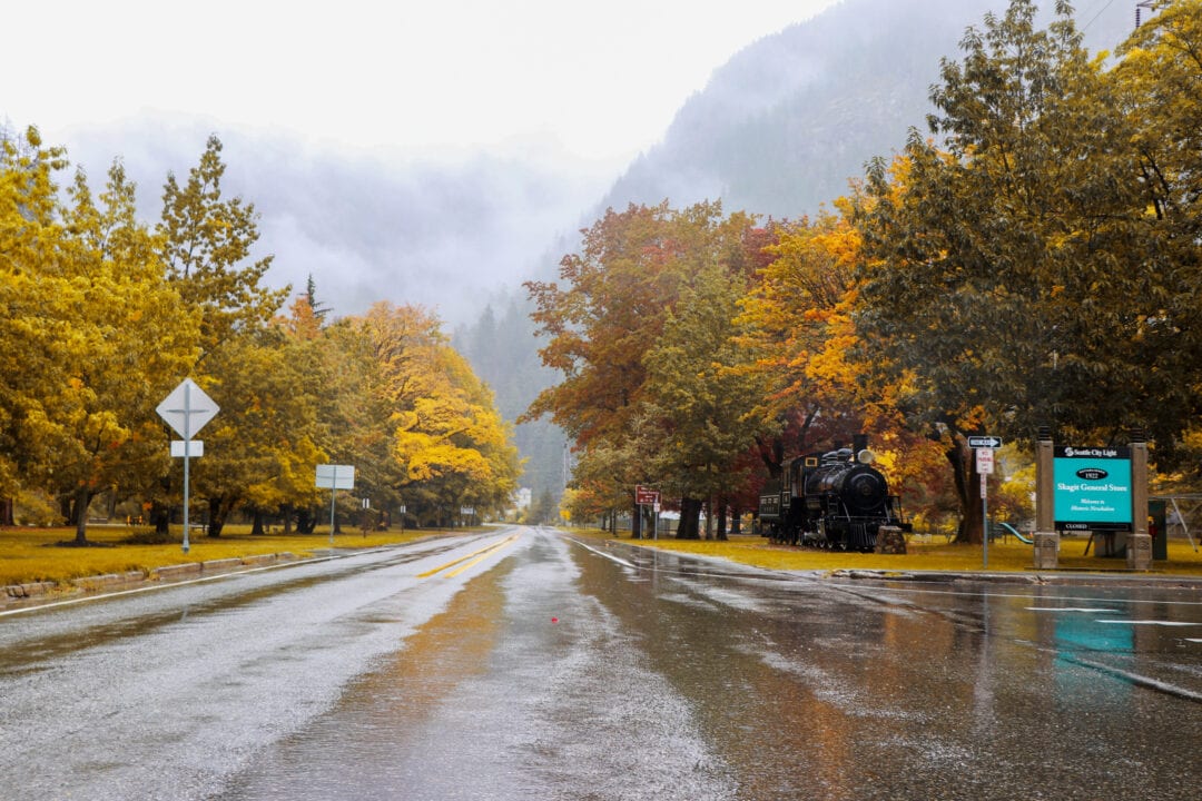 a wet street flanked by trees in golds and greens under a foggy sky