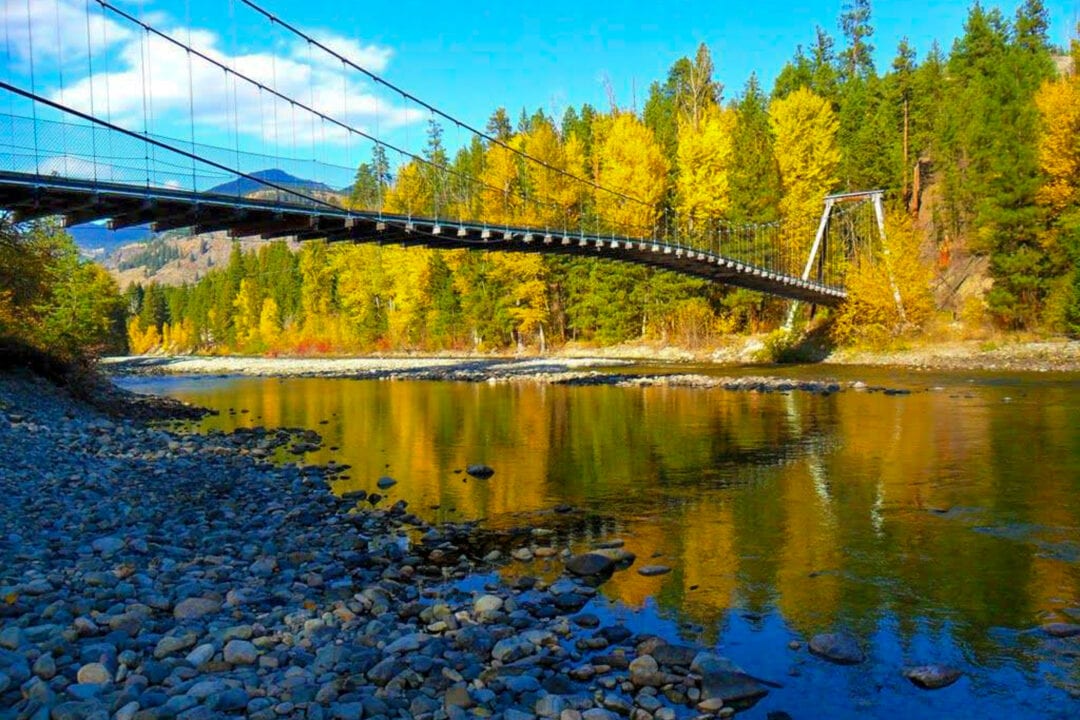 a suspension bridge over water with a rocky shore and trees in brilliant shades of green and gold