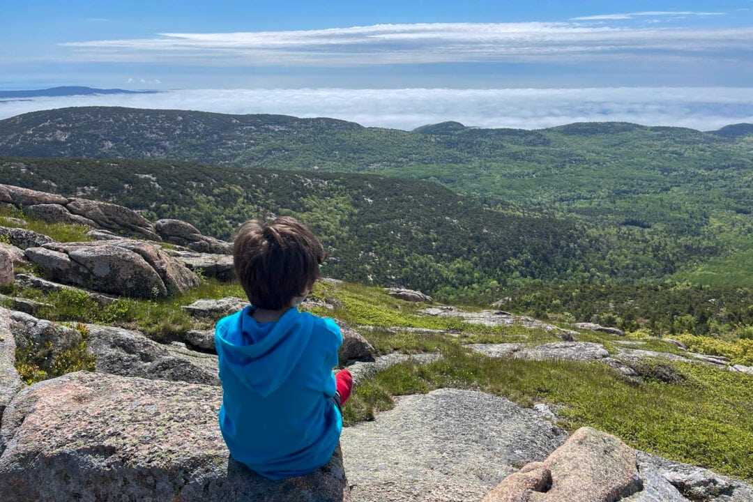 a boy sits on a rock and looks out at a scenic overlook of greenery