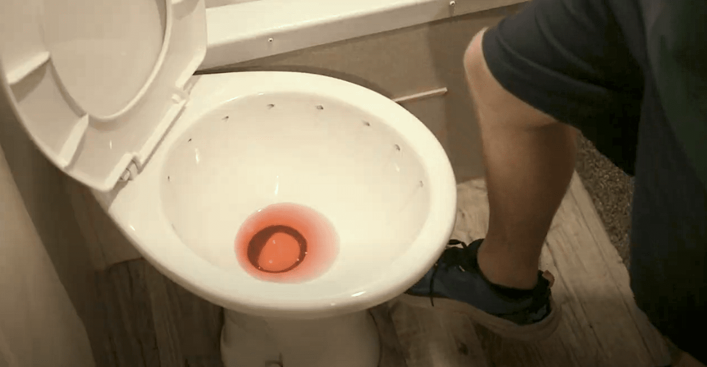 a toilet with its lid up and pink antifreeze in the bowl
