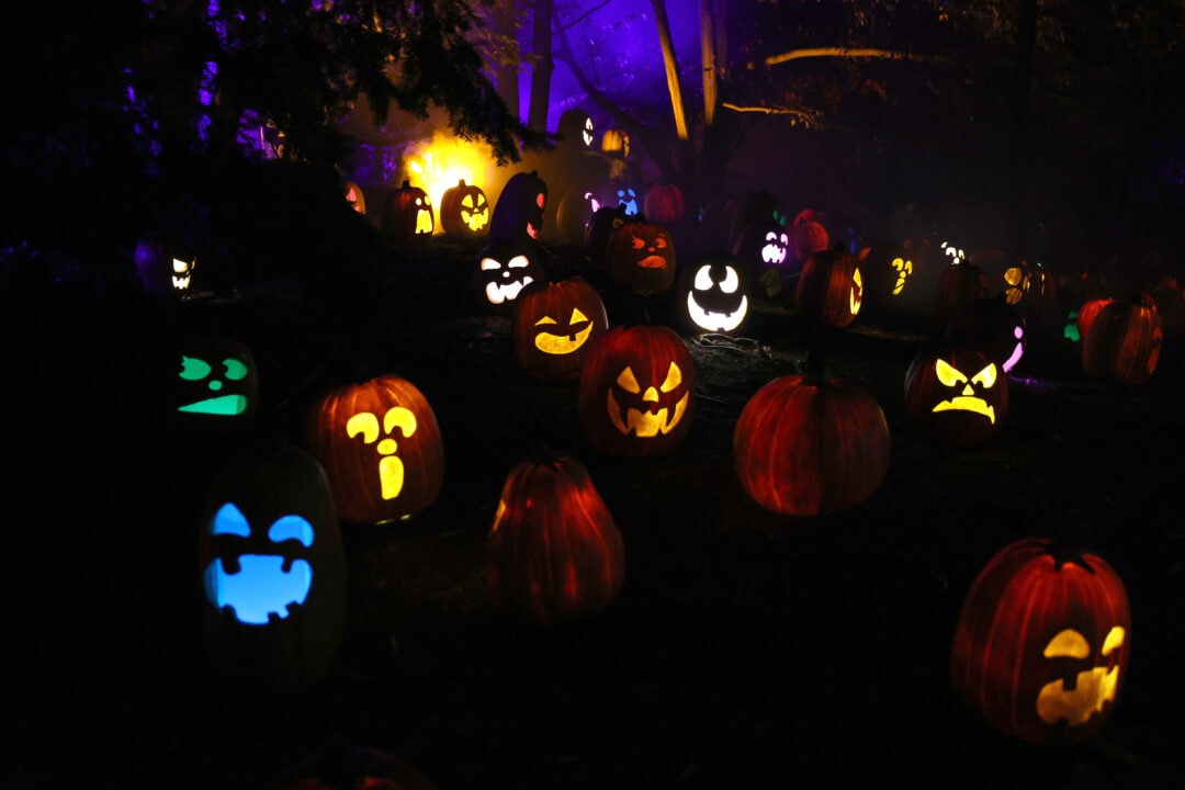 several carved jack o lanterns lit up in different colors at night