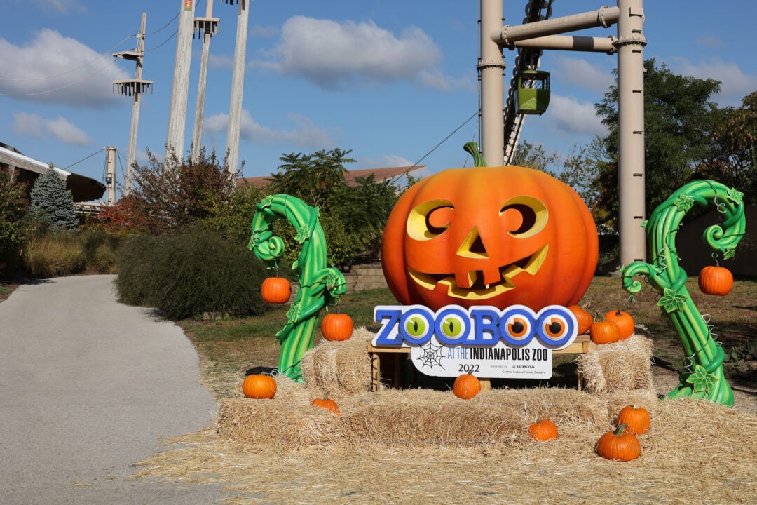 the entrance to the indianapolis zooboo with a large orange pumpkin and haystacks