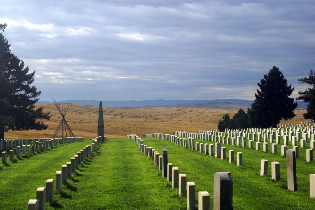 Grave markers line a grassy field.