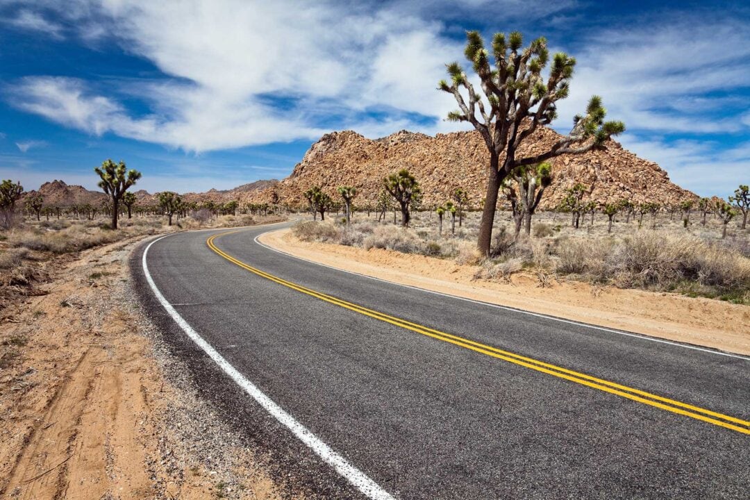 A winding road through a desert landscape of rocky hills and Joshua trees