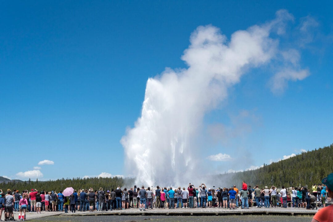 a line of people watching the old faithful geyser at yellowstone park
