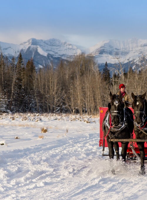 8 national parks with epic holiday celebrations
