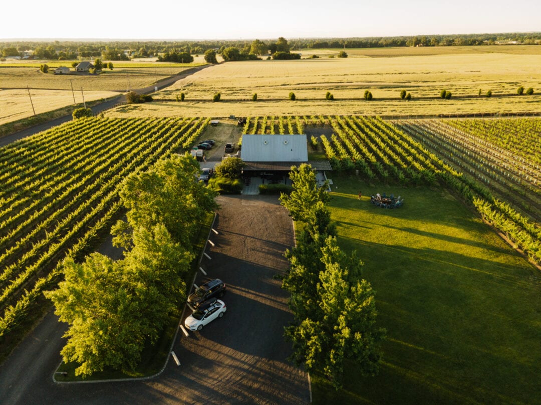 An aerial shot showcases winery grapevines.