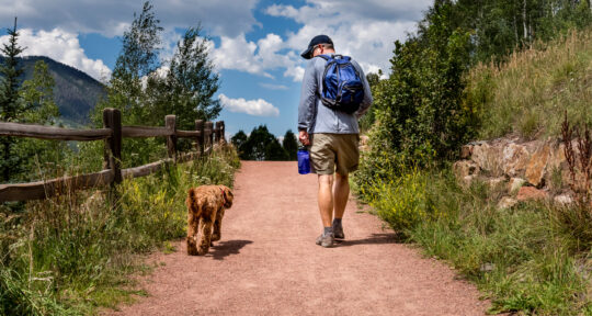 7 tips for hiking and backpacking safely with your dog