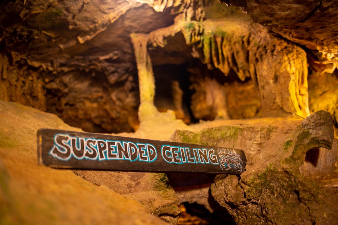 a handpainted wooden sign inside of a cave that says "suspended ceiling"
