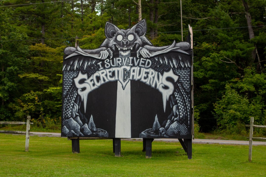 a black and white handpainted billboard of a bat that says "i survived secret caverns"