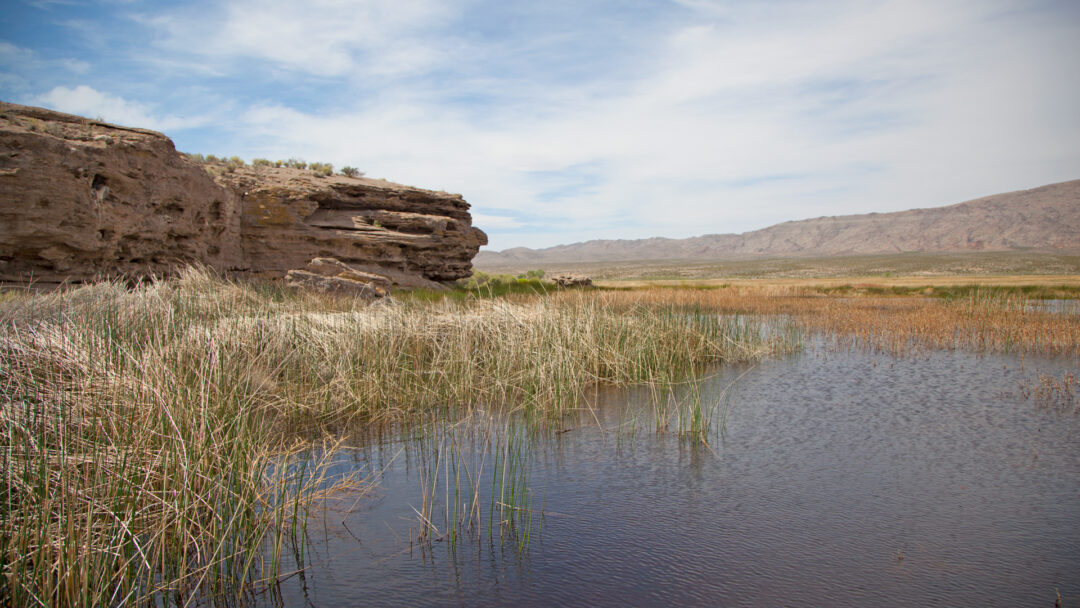 View of a lake with grass and a cliff