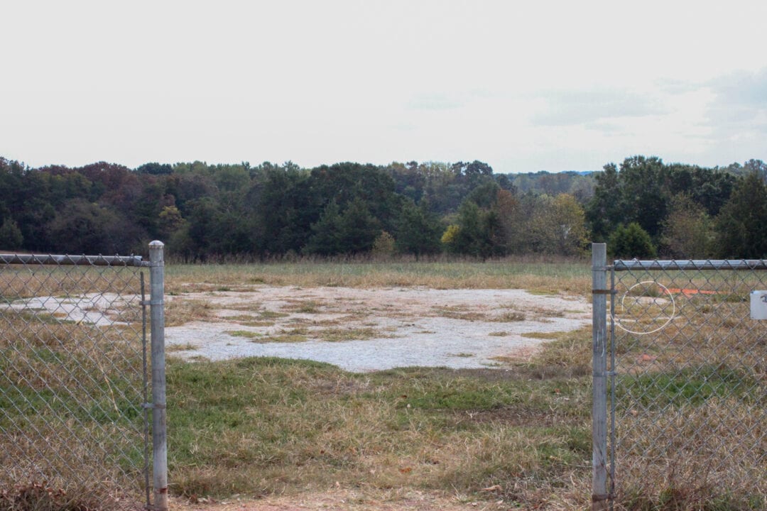 A ring of barren ground sits in the middle of an otherwise grassy field.